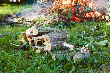 Wood against the background of a large fire