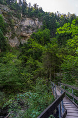 Fototapeta premium Holzweg mit Brücke, dunkler Waldweg zwischen Birken, Eichen, Ahorn und Fichten, gesäumt von verschiedenen Waldblumen und Sträuchern. Sonnenstrahlen brechen durch das Blätterdach ins Tal