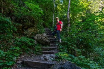 Wanderer auf dem Weg durch die Bürser Schlucht, Mann auf dem schmalen Wanderweg über Treppen und Stufen durch die bewaldete Schlucht bei Bürs, Vorarlberg, Österreich