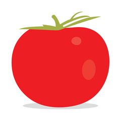 Vector illustration of red ripe tomatoes set on a white background.