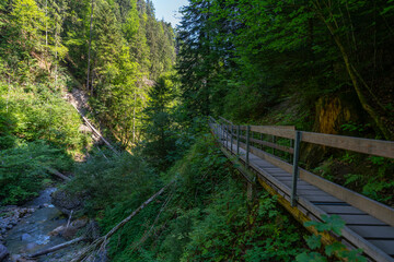 Holzweg mit Brücke, dunkler Waldweg zwischen Birken, Eichen, Ahorn und Fichten, gesäumt von verschiedenen Waldblumen und Sträuchern. Sonnenstrahlen brechen durch das Blätterdach ins Tal