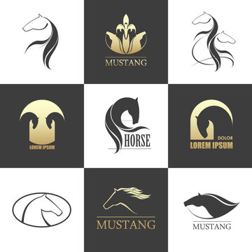 Horse logo vector set premium design