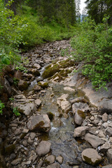 kleinwalsertal, schwarzwasserbach im schwarzwassertal
