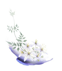 A floral composition with white flowers, buds, stem with leaves and lilac brush stroke hand drawn in watercolor isolated on a white background. Watercolor illustration. Watercolor floral arrangement.