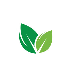 green leaf element  icon of nature concept  design template