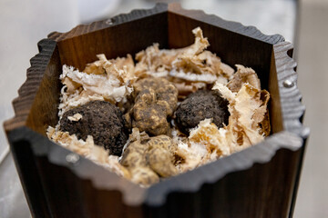 Truffles Mushrooms 