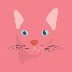 Photo cat face straight on pink background