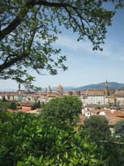 Obraz premium View of Florence and the Arno River