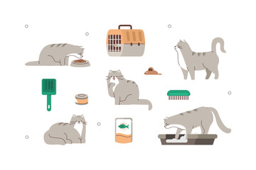 Domestic cat illustration set. Cat character eating, using litter box, sleeping and playing. Different sort of animal food, toys, grooming and cage items for pet care and hygiene. Vector illustration.