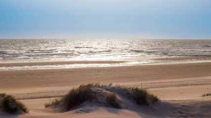 Dunes in front of the Belgium beach