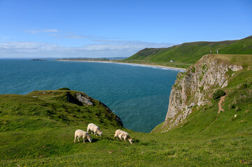 Rhossili Bay, A beautiful beach on the Gower Peninsula Swansea, South Wales
