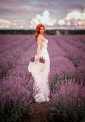 Girl in a white dress in a lavender field summer 2022