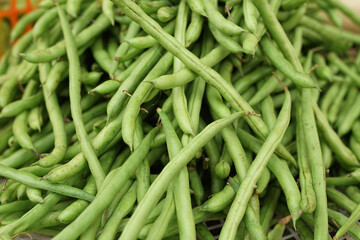 Healthy and fresh green beans in the morning are sold in the market. green and fresh vegetable background