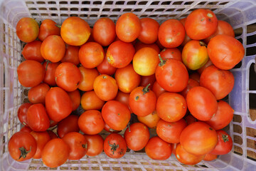 fresh tomatoes neatly arranged top view. fresh and red vegetable background