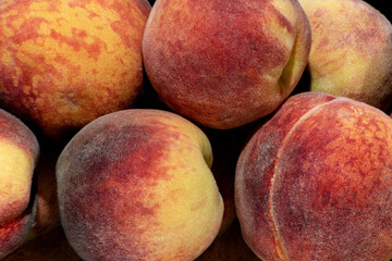 harvest fruit background from ripe peaches