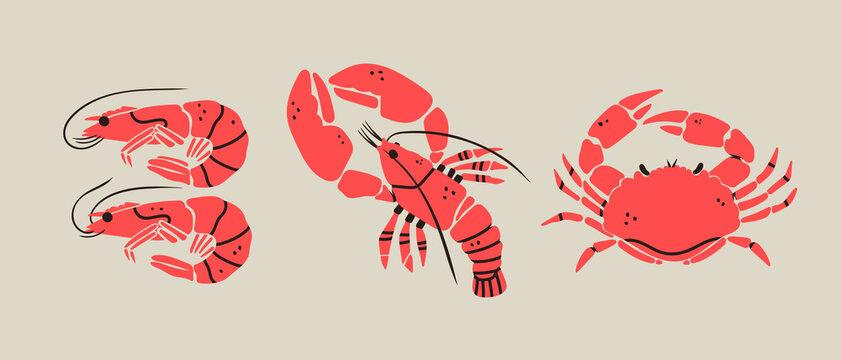 Set of hand drawn Lobster, Shrimps, Crab. Seafood shop logo, signboard, restaurant menu, fish market, banner, poster design templates. Fresh shellfish products. Trendy Vector illustration. Flat design