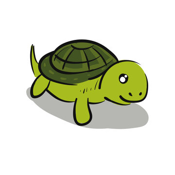 Turtle Design Very Cool