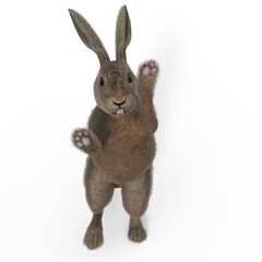 3d-illustration of an isolated standing rabbit animal pet