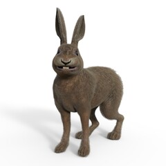 3d-illustration of an isolated rabbit watching animal pet standing