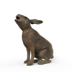 3d-illustration of an isolated sitting rabbit animal pet