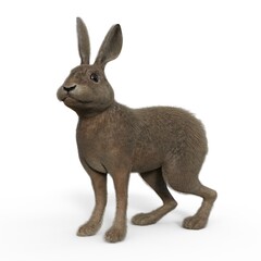 3d-illustration of an isolated rabbit watching animal pet standing