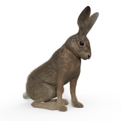 3d-illustration of an isolated sitting rabbit animal pet