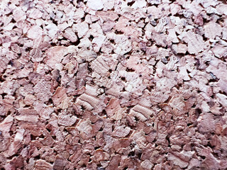 Cork wood extreme close-up macro pattern image