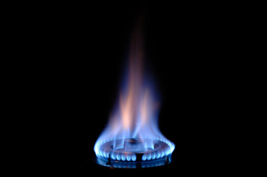 gas flame burns on a stove