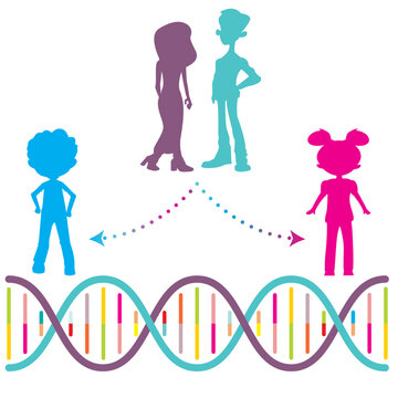 Family DNA Inheritance vector illustration background