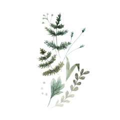 Wildflowers. Watercolor bouquet. Decoration for your design.