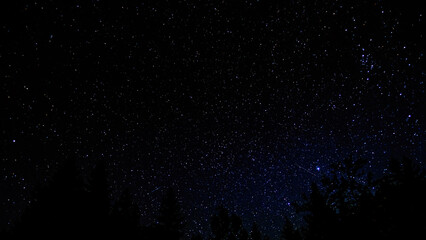 The night starry sky. Treetops. Meteorites