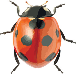 Graphical hand-drawn bugs. Vector.  © mirskaya