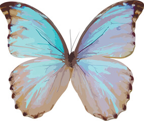Graphical hand-drawn butterfly. Vector.
