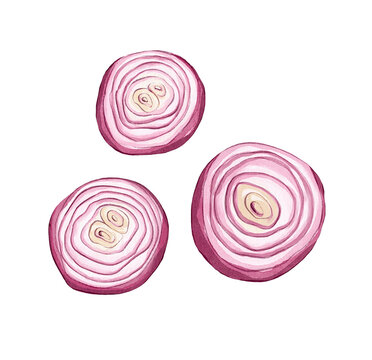 Red onion slices watercolor illustration isolated on white background