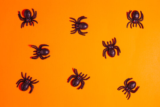 Many plastic spiders on orange background