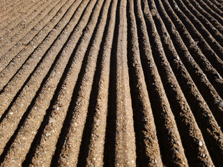 Perspective of deep grooves of sand. Background of raked white sand. Clean beach sand texture with rake. Maintenance of beaches and coastline.