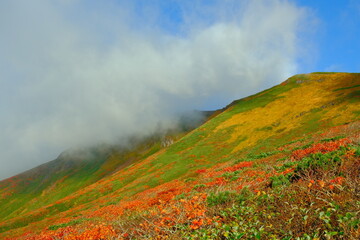 栗駒山の紅葉