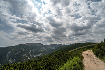 landscape in the summer