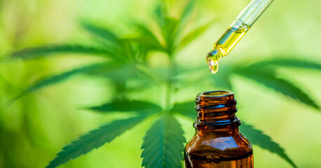 Cannabidiol, hemp oil, full spectrum CBD and THC, hemp balm and CBD capsules.