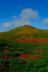 栗駒山の紅葉