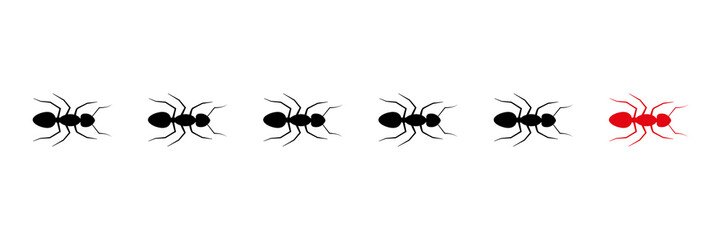 Ant leader trail. Worker ants colony line route teamwork. Vector isolated on white.