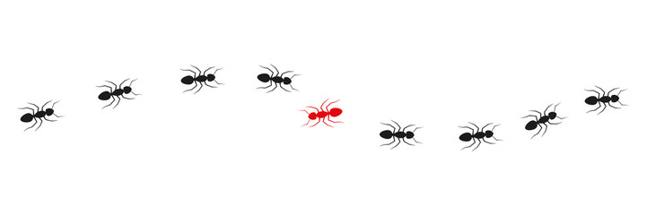 Ant colony trail. One ant changing direction. Think differently concept. Vector isolated on white.