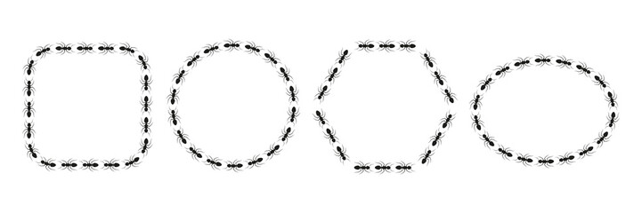 Naklejka premium Ant geometric shapes trail set. Worker ants colony line route teamwork. Vector isolated on white.