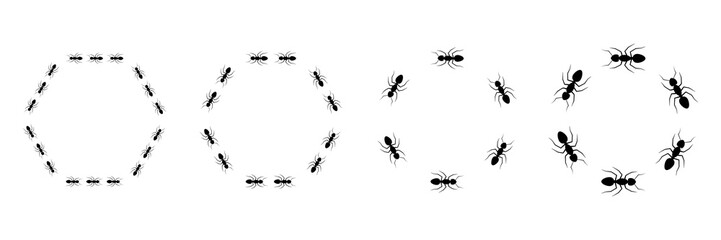 Ant hexagonal frame trail set. Worker ants colony line route teamwork. Vector isolated on white.