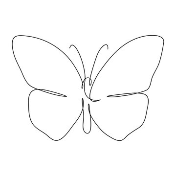 recommend clip art: Butterfly flying continuous line art drawing. One line butter fly insect. Vector isolated on white.