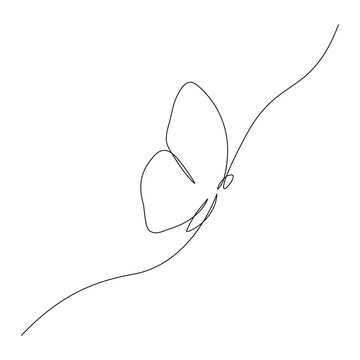 Butterfly flying continuous line art drawing. One line butter fly insect. Vector isolated on white.