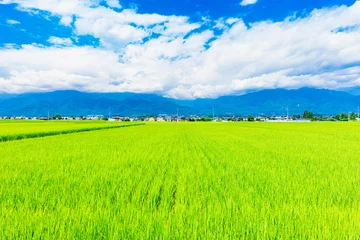 Foto op Aluminium 夏の信州　安曇野の田園風景 © oben901