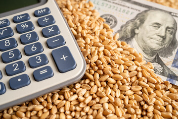 Grains and wheat ears with US dollar banknotes and calculator from organic agriculture farm.
