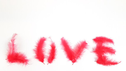 love inscription made of pink feathers on a white background