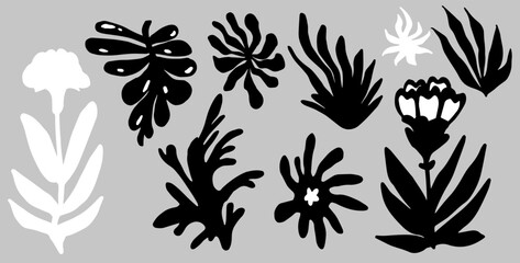 Set of botanical elements for poster, cover, pattern design. Black flowers and leaves in Fauvism and Modernism art style.